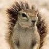 Profilbild von nai b ing