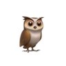 Samsul Asu's profile picture