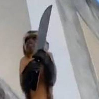 eucajuina's profile picture