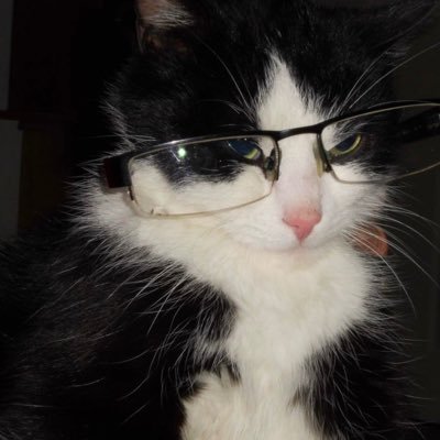 ld66801868's profile picture