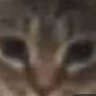 Profilbild von kope