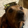 August profil fotoğrafı