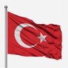 oguz's profile picture