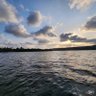 Konkan_Roots 的头像