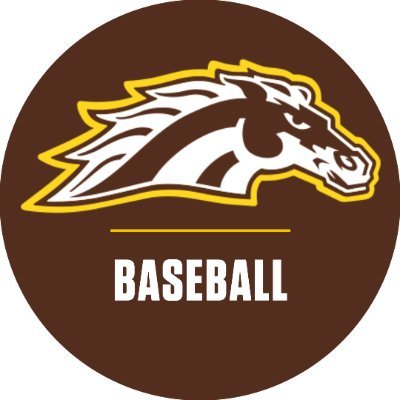 WMUBaseball's profile picture