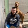 Vitor Ferro's profile picture