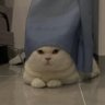 Flora's profile picture