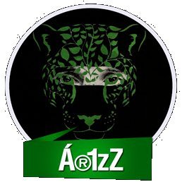 Ar1zZ17's profile picture