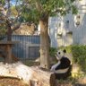 晩菊 profil fotoğrafı