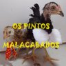OS PINTOS MALACABADOS's profile picture