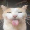 astratto🇵🇸 (tomfoolery era)'s profile picture