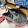 すすとと's profile picture