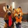 Фото профиля the cuddles fox