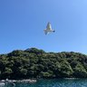 浪漫飛行 的头像