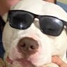 Profilbild von theharlesss