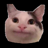 karnisov 🇺🇦's profile picture
