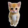 Cats of the Interwebs's profile picture