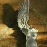 梦X魂|女明星分享's profile picture