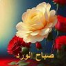 Ahmad ali 的头像