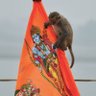 Profilbild von BhaktShri