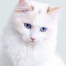Betsy Anderson's profile picture