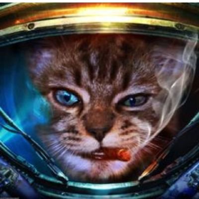 Marialuisa1995's profile picture