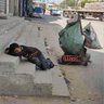 الشعب شريك بما يجري profil fotoğrafı