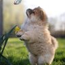 Katie Durron profil fotoğrafı