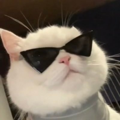 奶茶's profile picture