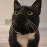 Profilbild von Bean