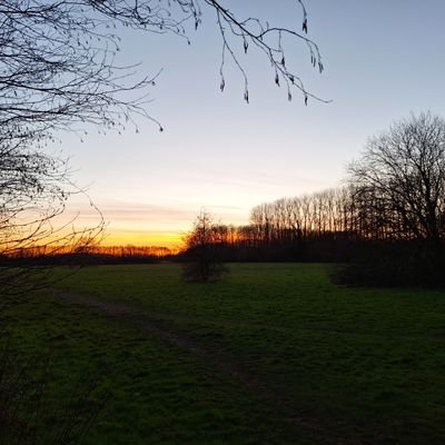 TheKentishguy's profile picture