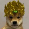 Profilbild von neun