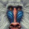 Etienne Diedericks's profile picture