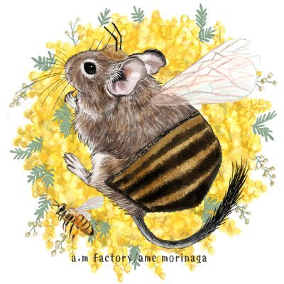 degu_chip's profile picture