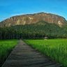 THE DAYAK BORNEO profil fotoğrafı