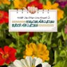 Фото профиля اميره الورد