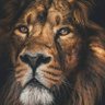 أسد الايام(صوت الحق) profil fotoğrafı