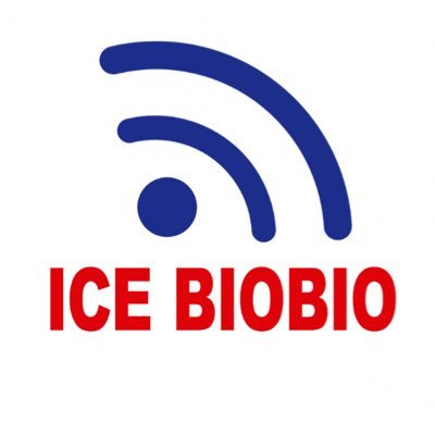 I.C.E. Biobío's profile picture