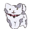Mayu ♡ 的头像