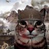 🐈⬛️Eros profil fotoğrafı