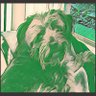 annie's profile picture
