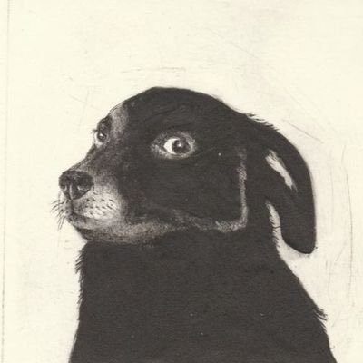 perrito barista's profile picture