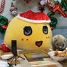 ジジの飼い主💙@ラーテル🦡こんどう（ふなっしー命名）'s profile picture