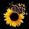 🌻 profil fotoğrafı