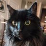 Poe ✌🏻♥️'s profile picture