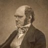DarwinRules profil fotoğrafı