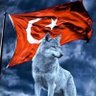 Profilbild von 🇹🇷 fırtına Osmanlı 🇹🇷