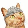 🐾Snappy Tom🐾's profile picture