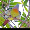 サボテン profil fotoğrafı
