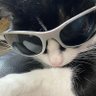 void's profile picture